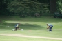 eversholt_nvc_20084