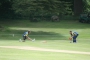 eversholt_nvc_20085