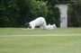 high_roding54