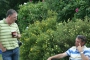 high_roding61