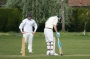 sawbridgeworth30