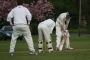 sawbridgeworth52