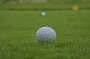 golf_day43