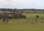 golf_2010_12