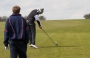 golf_2010_6