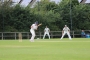 small-IMG_8776