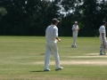 picture-16