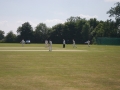 picture-33