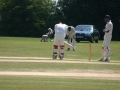 picture-9