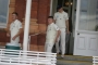 Lords 2017 NVC 357