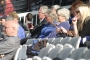 Lords 2017 NVC 239