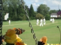 sunday_2nd_xi_2013_35