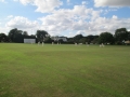 sunday_2nd_xi_2013_46