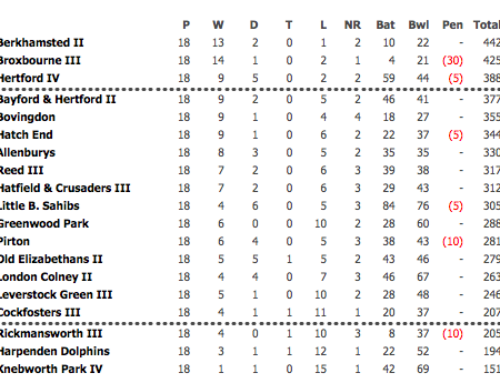 2013 3rd XI League Table